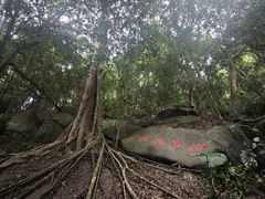 -七仙岭温泉国家森林公园