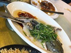 清蒸鲫鱼-岭南海晏楼(滨江东总店)