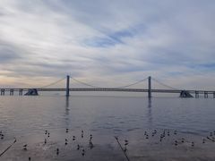 -星海广场