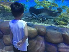 -华夏文旅海洋公园