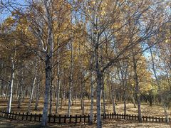 -长春世界雕塑园冰雪艺术天地