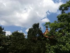 -昆明动物园