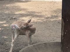 -成都动物园