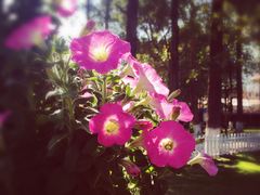 邛海宾馆-西昌邛海宾馆