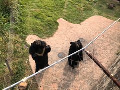-无锡动物园·太湖欢乐园