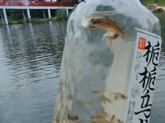 -美兰湖景区