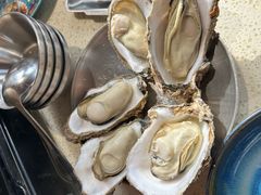 -蚝堡·生蚝海鲜烧烤物种起源•海肠捞饭(刘公岛店)