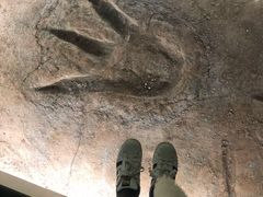 -湖南省地质博物馆