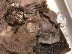 -海底捞火锅(亲子主题北金鹰店)