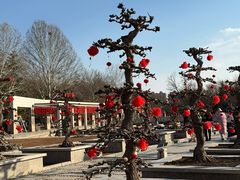 -石家庄市植物园