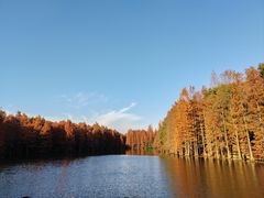 -尚湖风景区