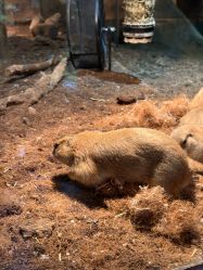 -Zoolung Zoolung动物主题公园(海信广场店)