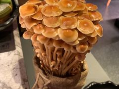 -麻路成都火锅(柏威年店)