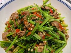 -壹盏灯(惠农店)