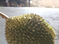 -榴莲一条街