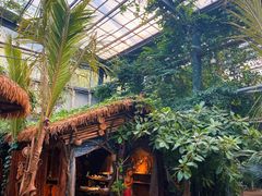 -呀路古热带植物园