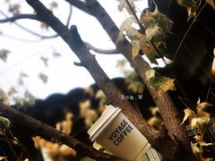 -VOYAGE COFFEE(杨梅竹店)