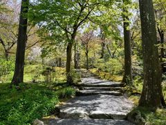 -三千院