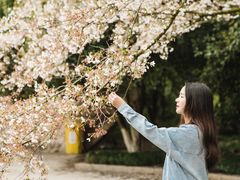 -杭州少年儿童公园