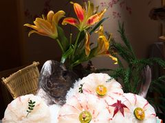 -樱木千鹤·日本料理·海鲜饭(星海店)