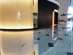 -LV路易威登(大兴国际机场店)