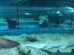 -福州罗源湾海洋世界旅游区