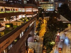 -香港大学