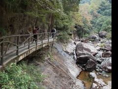 -花岩国家森林公园