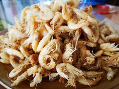 -凤百年大骨鸡饭庄