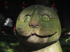-天一阁博物院