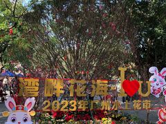 -荔湾湖公园