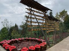 -武隆天坑寨子景区
