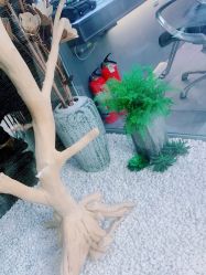 -木北造型