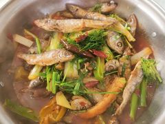 酸辣茴香小鱼-谢师酒家