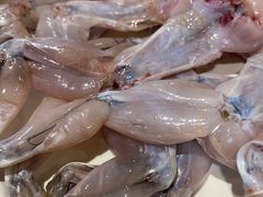 -铭记蛙小仙·活蛙畅享(CBD万达广场店)