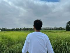 -汉长安城未央宫国家考古遗址公园