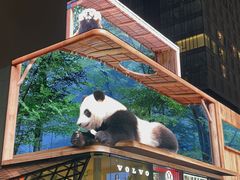 -春熙路步行街