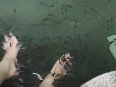 -水底山庄园温泉