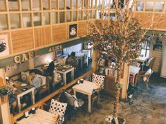 -Cafe Alice咖啡爱丽丝(奥城店)