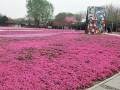 -石家庄市植物园