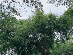 -南宁花花大世界景区