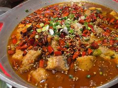 -向川南·水煮鱼·川菜(和平里店)