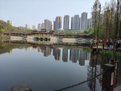 -重庆彩云湖湿地公园