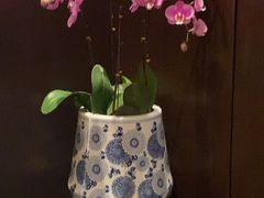 -东海朗廷酒店-唐阁T’ANG COURT 中餐厅