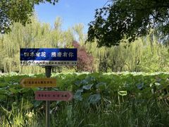 -洛阳市隋唐城遗址植物园