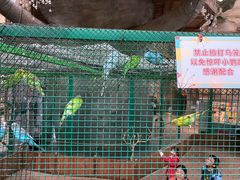 -杭州开元森泊度假乐园