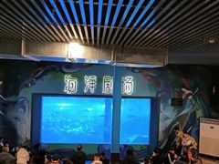 -洛阳龙门海洋馆