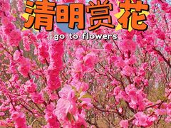 -南长河公园