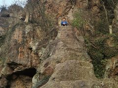 -树山生态村