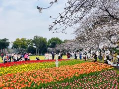 -苏州上方山国家森林公园